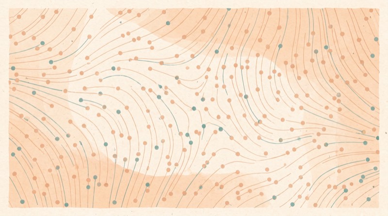 An abstract illustration of many small dots joined by fine curved lines into an even web